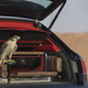 Illustration for article titled At Long Last: Bentley Makes A Bentayga For Falconry